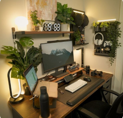 setup rangé